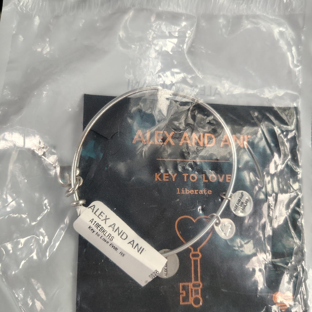 Alex and Ani Silver Bracelet
